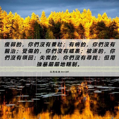 Picture 06 - 以 西 結 書 34:4 CUVT - 瘦 弱 的 ， 你 們 沒 有 養 壯 ； 有 - Bible Verse Picture