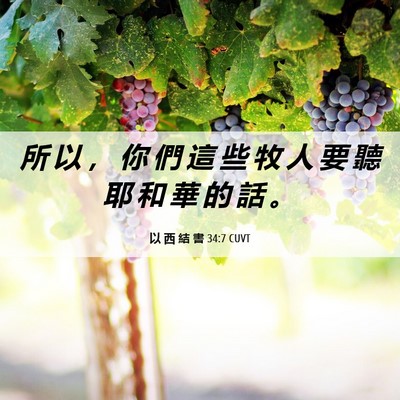 Picture 06 - 以 西 結 書 34:7 CUVT - 所 以 ， 你 們 這 些 牧 人 要 聽 耶 - Bible Verse Picture