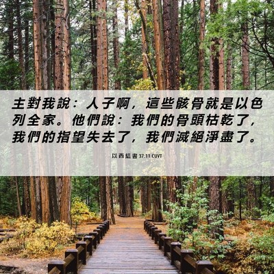 Picture 06 - 以 西 結 書 37:11 CUVT - 主 對 我 說 ： 人 子 啊 ， 這 些 骸 - Bible Verse Picture