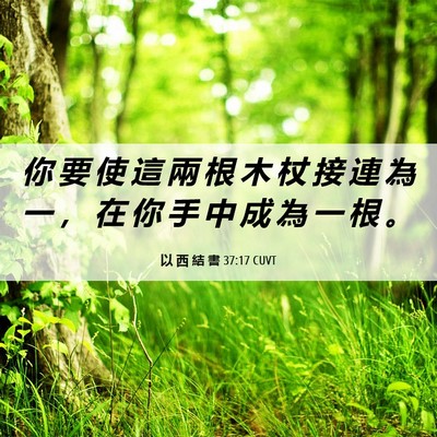 Picture 06 - 以 西 結 書 37:17 CUVT - 你 要 使 這 兩 根 木 杖 接 連 為 一 - Bible Verse Picture