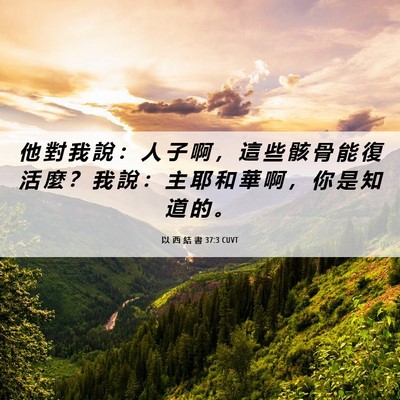 Picture 06 - 以 西 結 書 37:3 CUVT - 他 對 我 說 ： 人 子 啊 ， 這 些 骸 - Bible Verse Picture