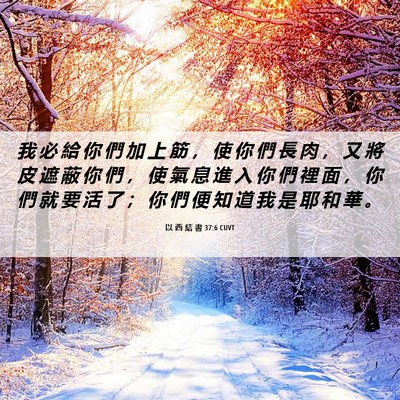 Picture 06 - 以 西 結 書 37:6 CUVT - 我 必 給 你 們 加 上 筋 ， 使 你 們 - Bible Verse Picture