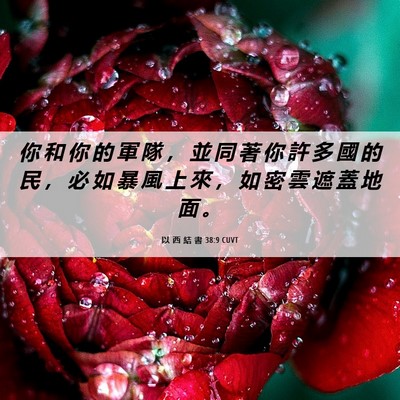 Picture 06 - 以 西 結 書 38:9 CUVT - 你 和 你 的 軍 隊 ， 並 同 著 你 許 - Bible Verse Picture