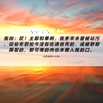Picture 06 - 以 西 結 書 4:14 CUVT - 我 說 ： 哎 ！ 主 耶 和 華 啊 ， 我 - Bible Verse Picture
