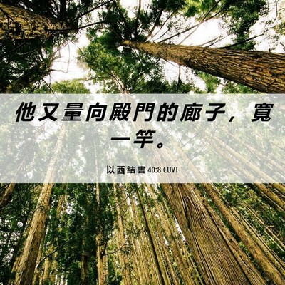 Picture 06 - 以 西 結 書 40:8 CUVT - 他 又 量 向 殿 門 的 廊 子 ， 寬 一 - Bible Verse Picture
