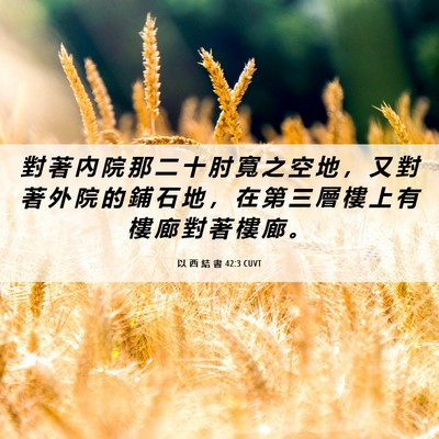 Picture 06 - 以 西 結 書 42:3 CUVT - 對 著 內 院 那 二 十 肘 寬 之 空 地 - Bible Verse Picture