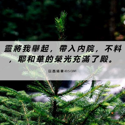 Picture 06 - 以 西 結 書 43:5 CUVT - 靈 將 我 舉 起 ， 帶 入 內 院 ， 不 - Bible Verse Picture