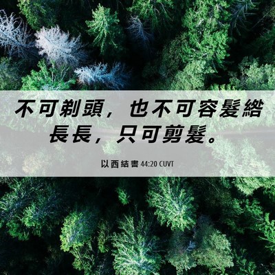 Picture 06 - 以 西 結 書 44:20 CUVT - 不 可 剃 頭 ， 也 不 可 容 髮 綹 長 - Bible Verse Picture