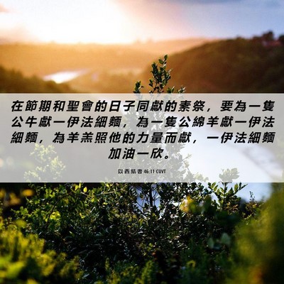 Picture 06 - 以 西 結 書 46:11 CUVT - 在 節 期 和 聖 會 的 日 子 同 獻 的 - Bible Verse Picture