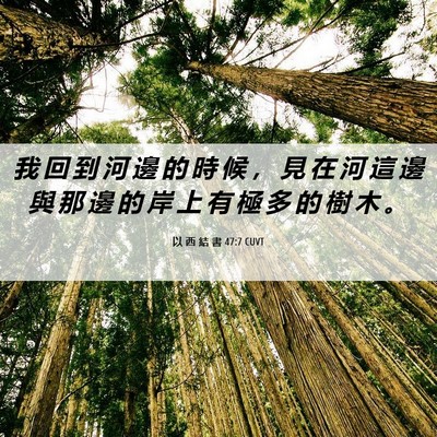 Picture 06 - 以 西 結 書 47:7 CUVT - 我 回 到 河 邊 的 時 候 ， 見 在 河 - Bible Verse Picture
