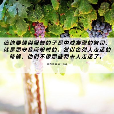 Picture 06 - 以 西 結 書 48:11 CUVT - 這 地 要 歸 與 撒 督 的 子 孫 中 成 - Bible Verse Picture