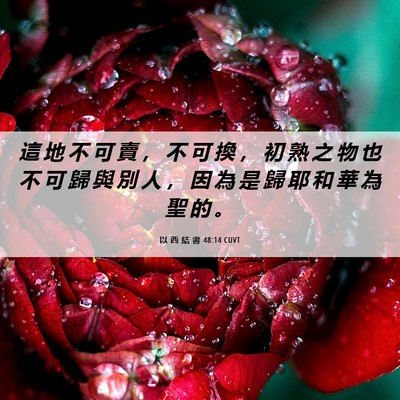 Picture 06 - 以 西 結 書 48:14 CUVT - 這 地 不 可 賣 ， 不 可 換 ， 初 熟 - Bible Verse Picture