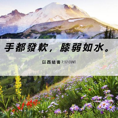 Picture 06 - 以 西 結 書 7:17 CUVT - 手 都 發 軟 ， 膝 弱 如 水 - Bible Verse Picture