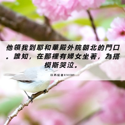 Picture 06 - 以 西 結 書 8:14 CUVT - 他 領 我 到 耶 和 華 殿 外 院 朝 北 - Bible Verse Picture