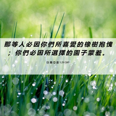 Picture 06 - 以 賽 亞 書 1:29 CUVT - 那 等 人 必 因 你 們 所 喜 愛 的 橡 - Bible Verse Picture