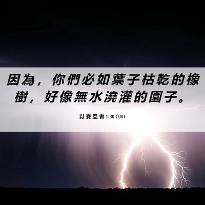 Picture 06 - 以 賽 亞 書 1:30 CUVT - 因 為 ， 你 們 必 如 葉 子 枯 乾 的 - Bible Verse Picture
