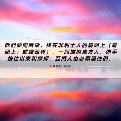 Picture 06 - 以 賽 亞 書 11:14 CUVT - 他 們 要 向 西 飛 ， 撲 在 非 利 士 - Bible Verse Picture