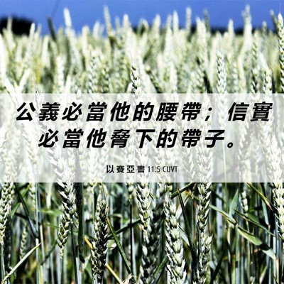 Picture 06 - 以 賽 亞 書 11:5 CUVT - 公 義 必 當 他 的 腰 帶 ； 信 實 必 - Bible Verse Picture