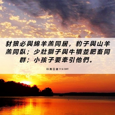 Picture 06 - 以 賽 亞 書 11:6 CUVT - 豺 狼 必 與 綿 羊 羔 同 居 ， 豹 子 - Bible Verse Picture