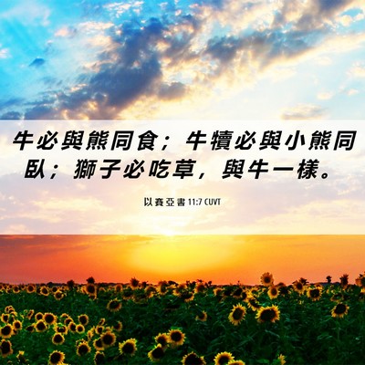 Picture 06 - 以 賽 亞 書 11:7 CUVT - 牛 必 與 熊 同 食 ； 牛 犢 必 與 小 - Bible Verse Picture