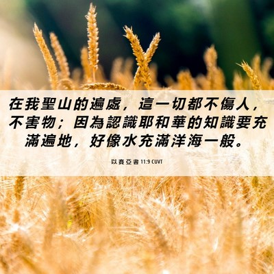 Picture 06 - 以 賽 亞 書 11:9 CUVT - 在 我 聖 山 的 遍 處 ， 這 一 切 都 - Bible Verse Picture