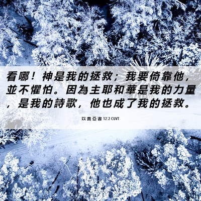 Picture 06 - 以 賽 亞 書 12:2 CUVT - 看 哪 ！ 神 是 我 的 拯 救 ； 我 要 - Bible Verse Picture