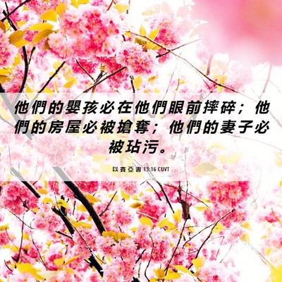 Picture 06 - 以 賽 亞 書 13:16 CUVT - 他 們 的 嬰 孩 必 在 他 們 眼 前 摔 - Bible Verse Picture
