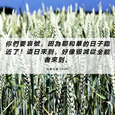 Picture 06 - 以 賽 亞 書 13:6 CUVT - 你 們 要 哀 號 ， 因 為 耶 和 華 的 - Bible Verse Picture