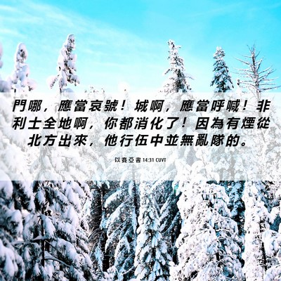 Picture 06 - 以 賽 亞 書 14:31 CUVT - 門 哪 ， 應 當 哀 號 ！ 城 啊 ， 應 - Bible Verse Picture