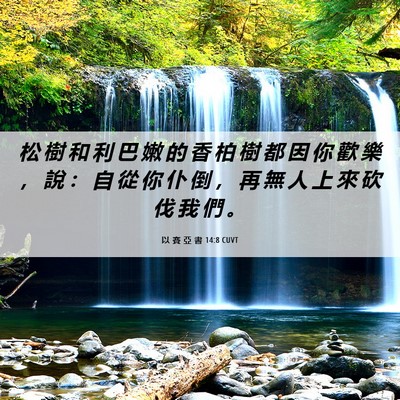 Picture 06 - 以 賽 亞 書 14:8 CUVT - 松 樹 和 利 巴 嫩 的 香 柏 樹 都 因 - Bible Verse Picture
