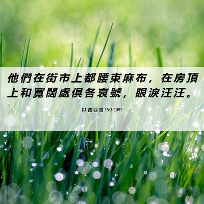 Picture 06 - 以 賽 亞 書 15:3 CUVT - 他 們 在 街 市 上 都 腰 束 麻 布 ， - Bible Verse Picture