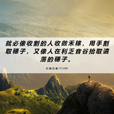 Picture 06 - 以 賽 亞 書 17:5 CUVT - 就 必 像 收 割 的 人 收 斂 禾 稼 ， - Bible Verse Picture
