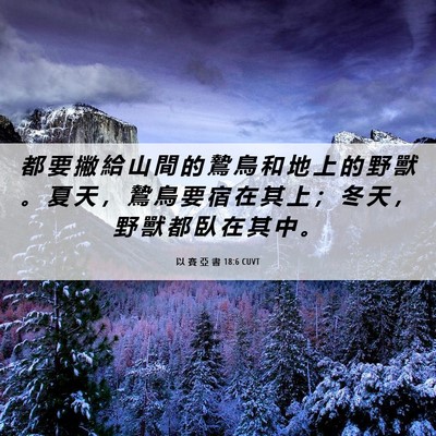 Picture 06 - 以 賽 亞 書 18:6 CUVT - 都 要 撇 給 山 間 的 鷙 鳥 和 地 上 - Bible Verse Picture