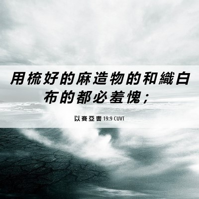 Picture 06 - 以 賽 亞 書 19:9 CUVT - 用 梳 好 的 麻 造 物 的 和 織 白 布 - Bible Verse Picture