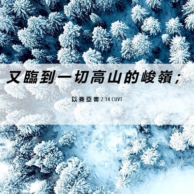 Picture 06 - 以 賽 亞 書 2:14 CUVT - 又 臨 到 一 切 高 山 的 峻 嶺 - Bible Verse Picture