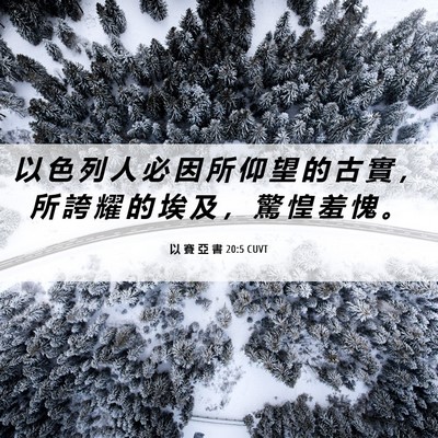 Picture 06 - 以 賽 亞 書 20:5 CUVT - 以 色 列 人 必 因 所 仰 望 的 古 實 - Bible Verse Picture