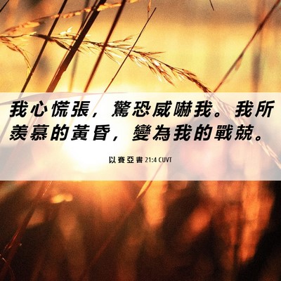 Picture 06 - 以 賽 亞 書 21:4 CUVT - 我 心 慌 張 ， 驚 恐 威 嚇 我 。 我 - Bible Verse Picture