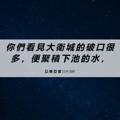 Picture 06 - 以 賽 亞 書 22:9 CUVT - 你 們 看 見 大 衛 城 的 破 口 很 多 - Bible Verse Picture