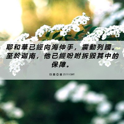 Picture 06 - 以 賽 亞 書 23:11 CUVT - 耶 和 華 已 經 向 海 伸 手 ， 震 動 - Bible Verse Picture