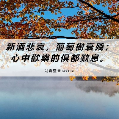 Picture 06 - 以 賽 亞 書 24:7 CUVT - 新 酒 悲 哀 ， 葡 萄 樹 衰 殘 ； 心 - Bible Verse Picture