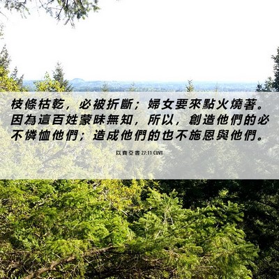 Picture 06 - 以 賽 亞 書 27:11 CUVT - 枝 條 枯 乾 ， 必 被 折 斷 ； 婦 女 - Bible Verse Picture