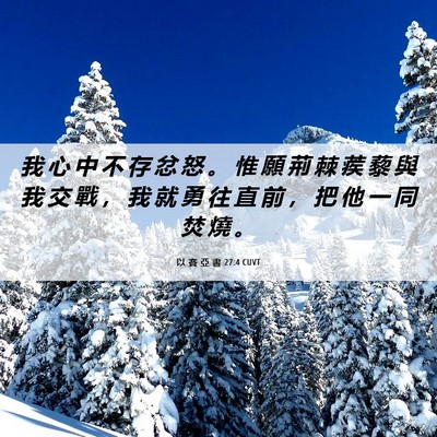 Picture 06 - 以 賽 亞 書 27:4 CUVT - 我 心 中 不 存 忿 怒 。 惟 願 荊 棘 - Bible Verse Picture
