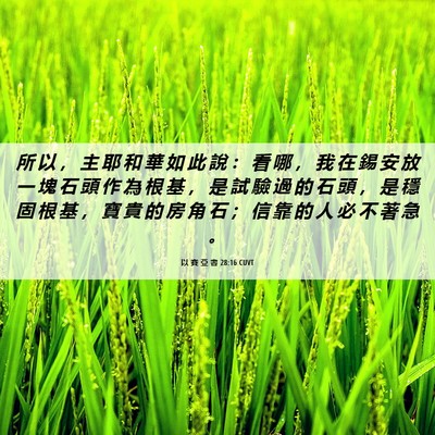 Picture 06 - 以 賽 亞 書 28:16 CUVT - 所 以 ， 主 耶 和 華 如 此 說 ： 看 - Bible Verse Picture