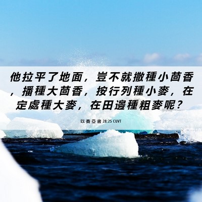 Picture 06 - 以 賽 亞 書 28:25 CUVT - 他 拉 平 了 地 面 ， 豈 不 就 撒 種 - Bible Verse Picture