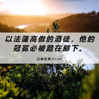 Picture 06 - 以 賽 亞 書 28:3 CUVT - 以 法 蓮 高 傲 的 酒 徒 ， 他 的 冠 - Bible Verse Picture