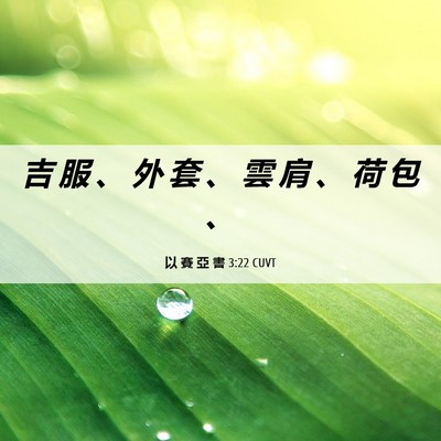 Picture 06 - 以 賽 亞 書 3:22 CUVT - 吉 服 、 外 套 、 雲 肩 、 荷 包 - Bible Verse Picture
