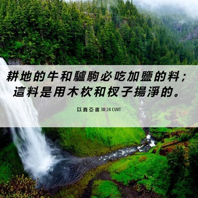 Picture 06 - 以 賽 亞 書 30:24 CUVT - 耕 地 的 牛 和 驢 駒 必 吃 加 鹽 的 - Bible Verse Picture