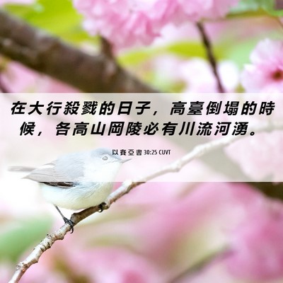 Picture 06 - 以 賽 亞 書 30:25 CUVT - 在 大 行 殺 戮 的 日 子 ， 高 臺 倒 - Bible Verse Picture