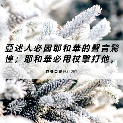 Picture 06 - 以 賽 亞 書 30:31 CUVT - 亞 述 人 必 因 耶 和 華 的 聲 音 驚 - Bible Verse Picture