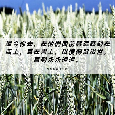 Picture 06 - 以 賽 亞 書 30:8 CUVT - 現 今 你 去 ， 在 他 們 面 前 將 這 - Bible Verse Picture